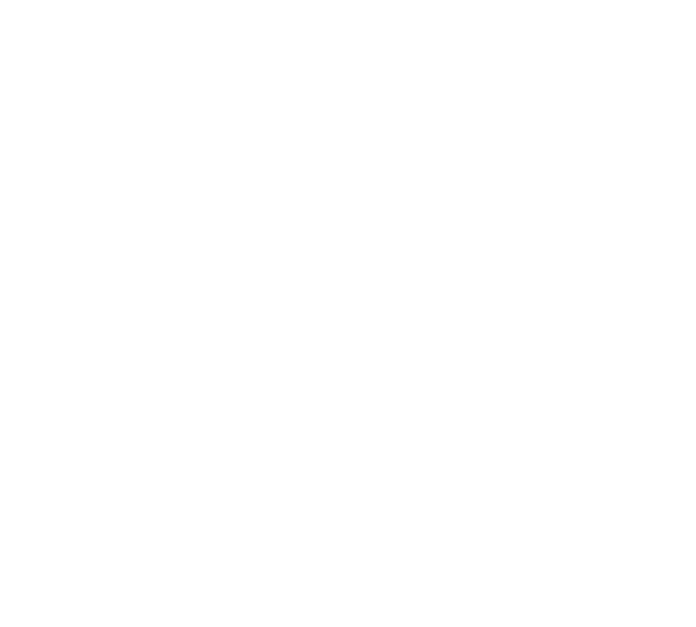 lightbulb icon