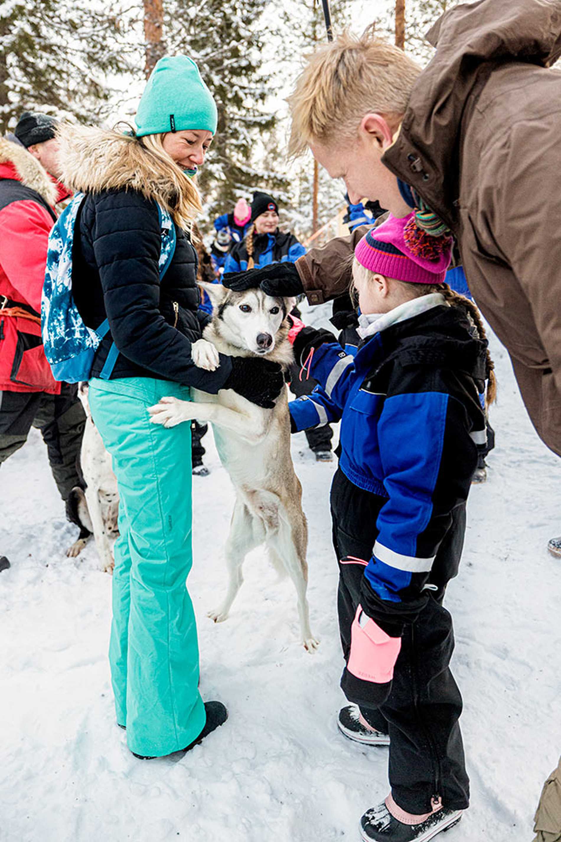 Alice petting one of the huskies before her dog sled ride.
