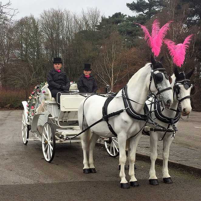 The horse drawn carriage, waiting to take Amber to the castle.