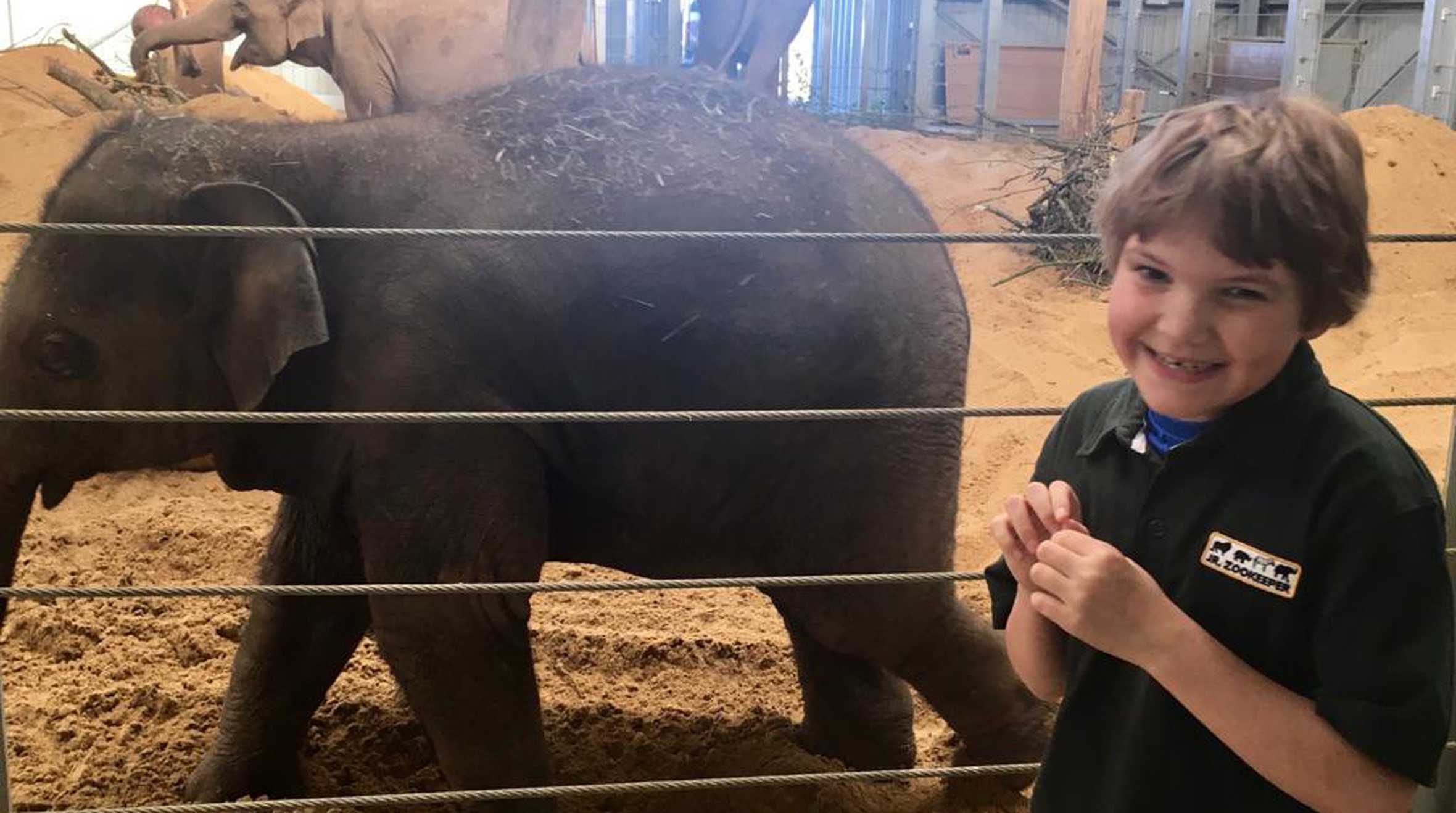 Florence with a baby elephant