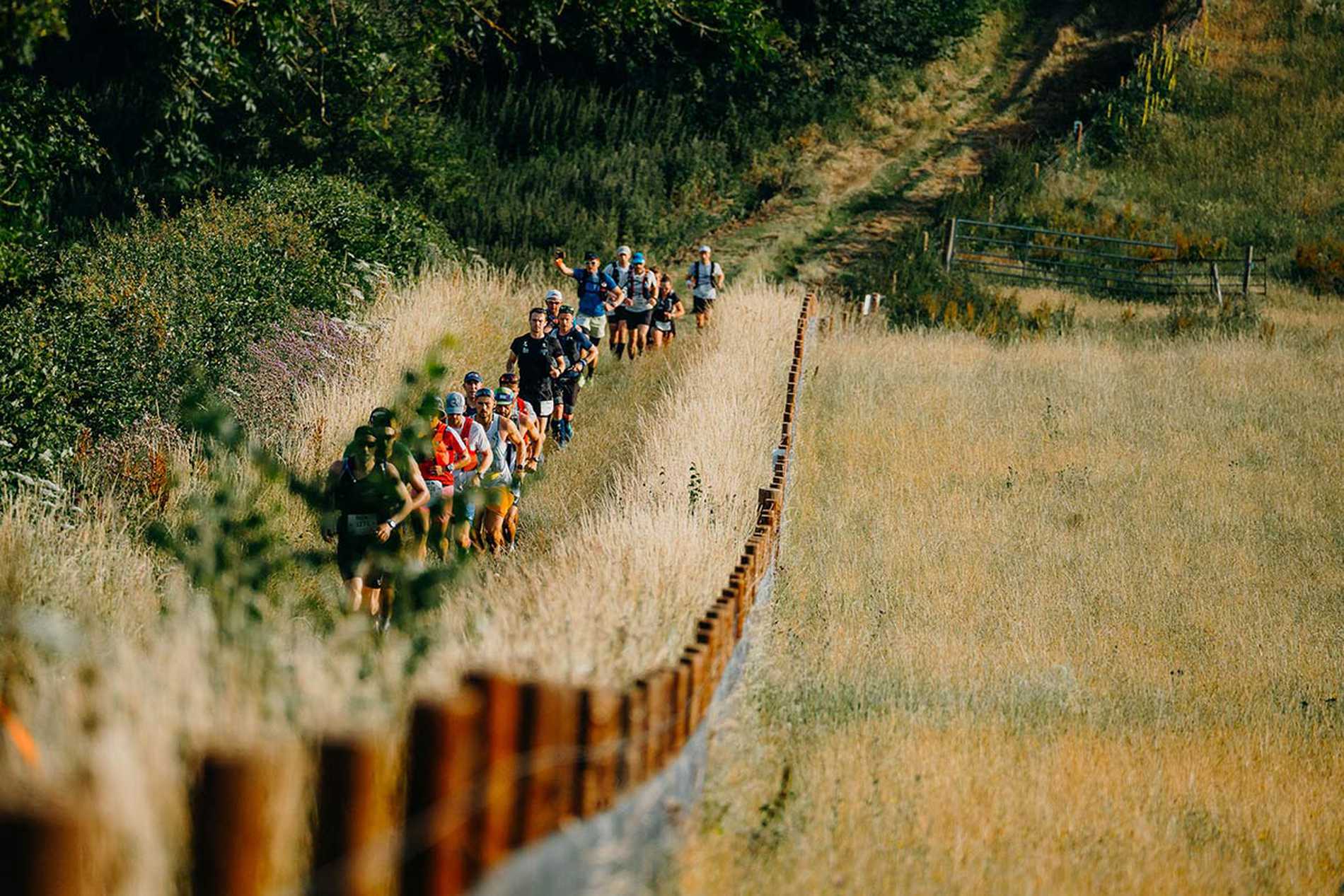 A group of runners making their way up a track along the edge of a field during the Race to the Stones.