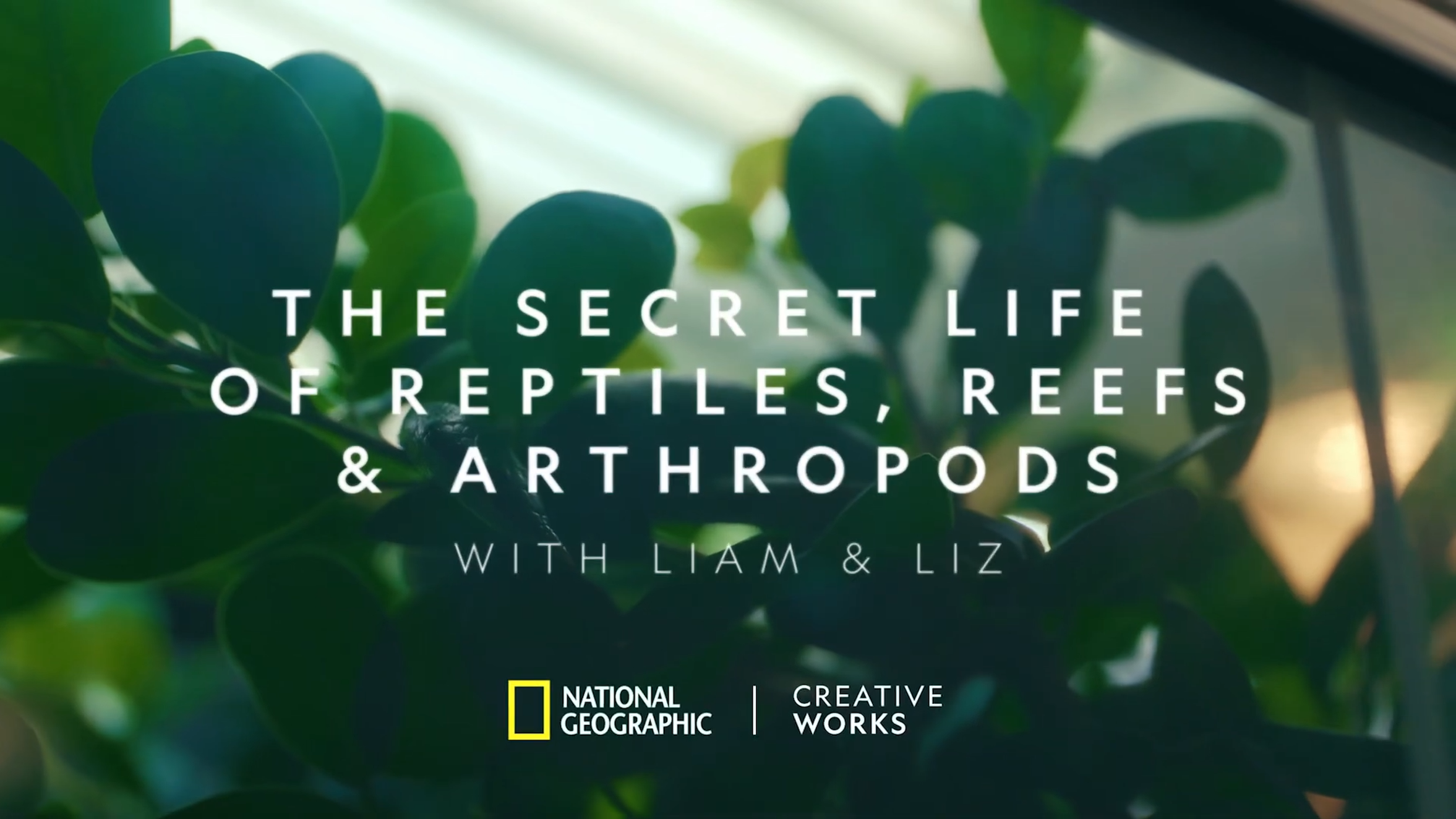 The title screenshot for Liam's documntary - 'The Secret Life of Reptiles, Reefs and Arthropods'