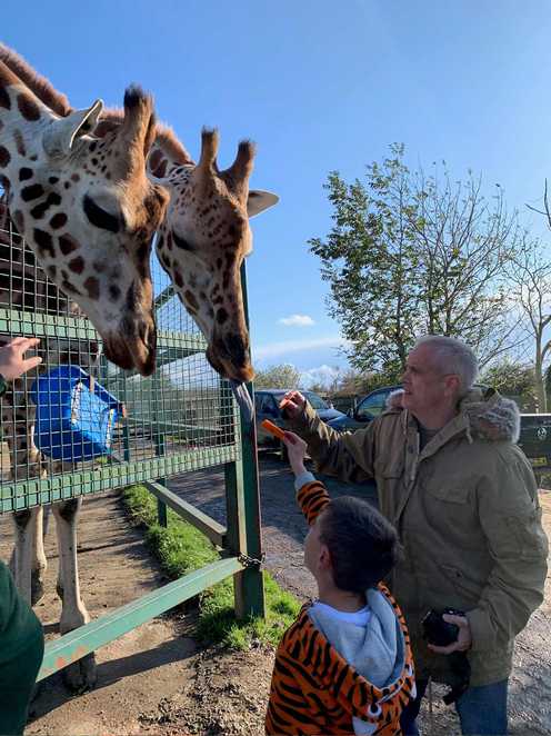 Stanley feeding a couple of giraffes, while wearing his tiger onesie.