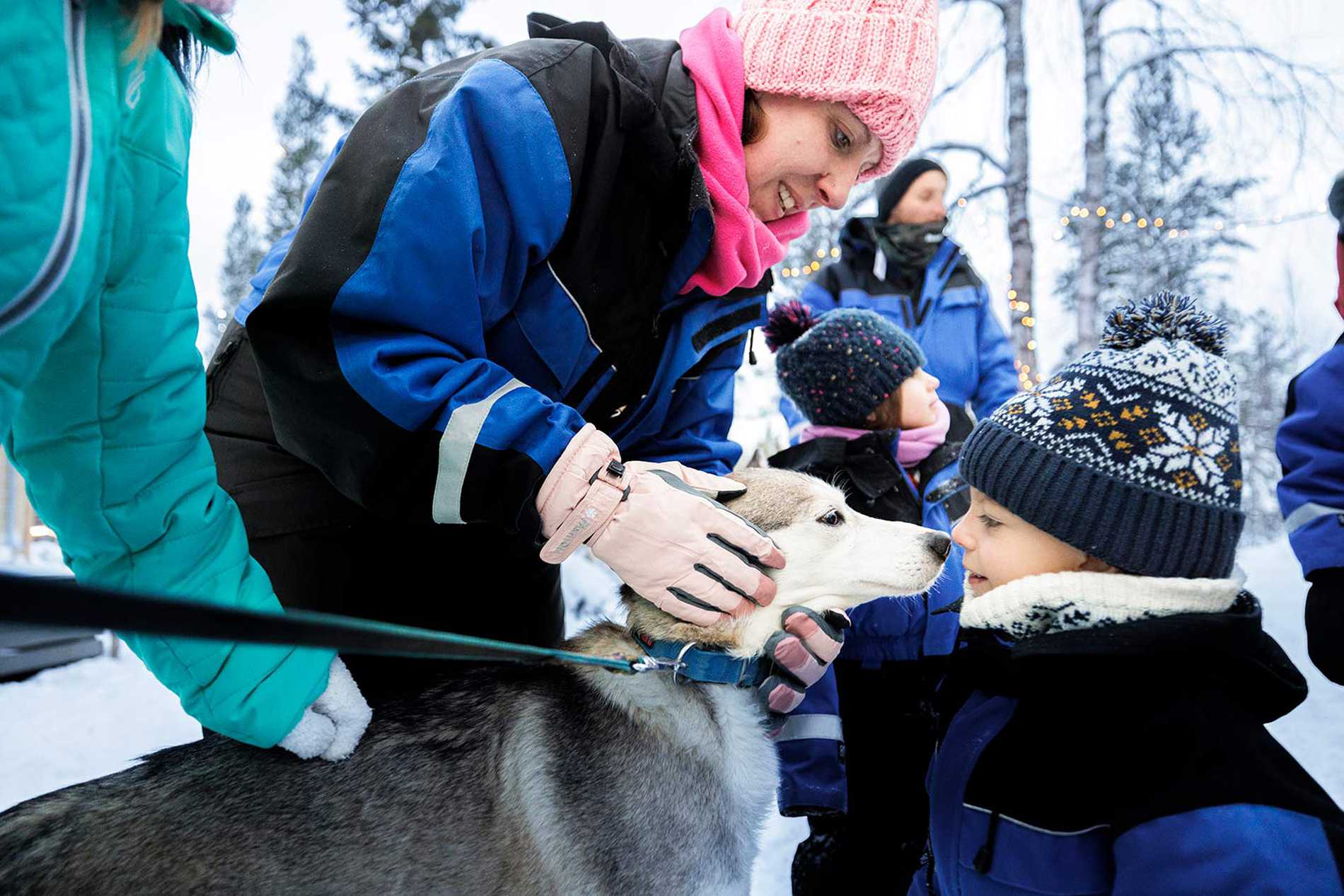 Mum supervises and James pets a husky.