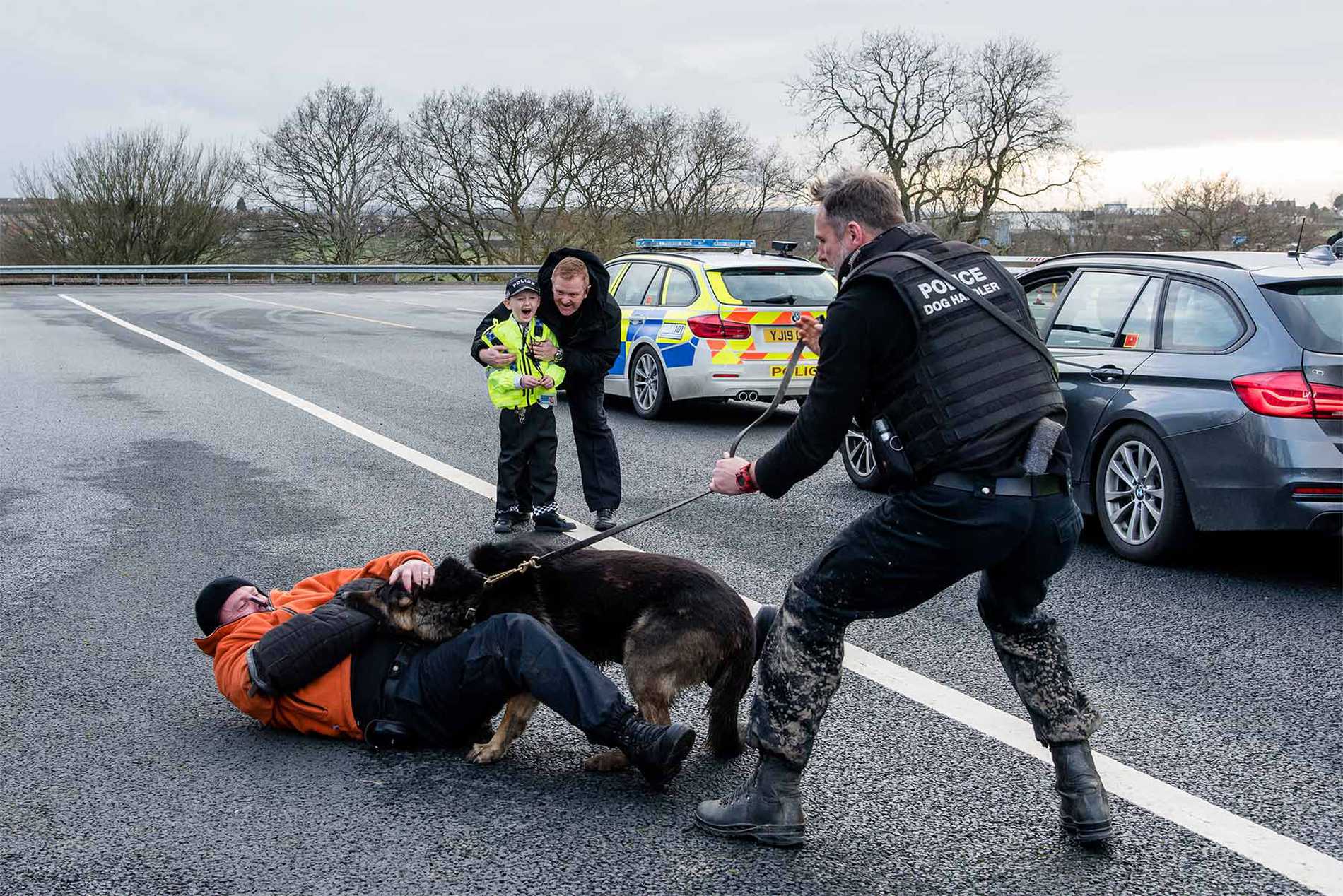 Allan watching a police dog handler apprehend a criminal with his service dog.