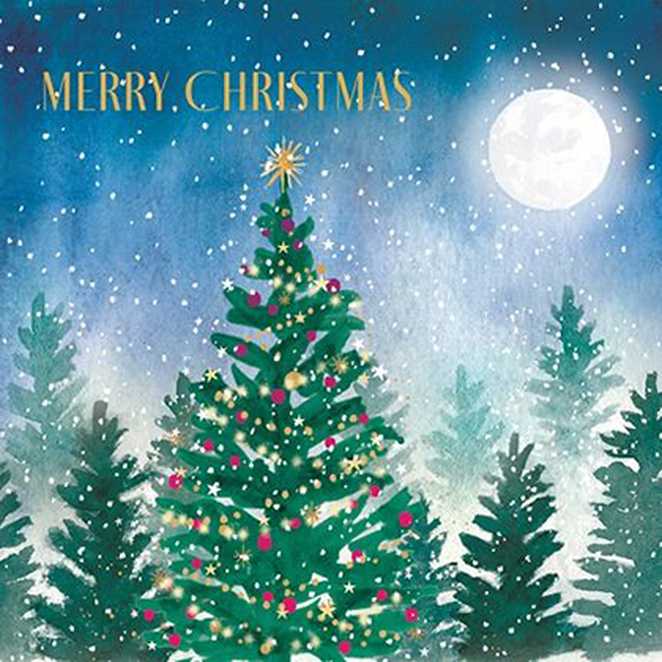 A Christmas card featuring an illustration of Christmas trees in the moonlight.