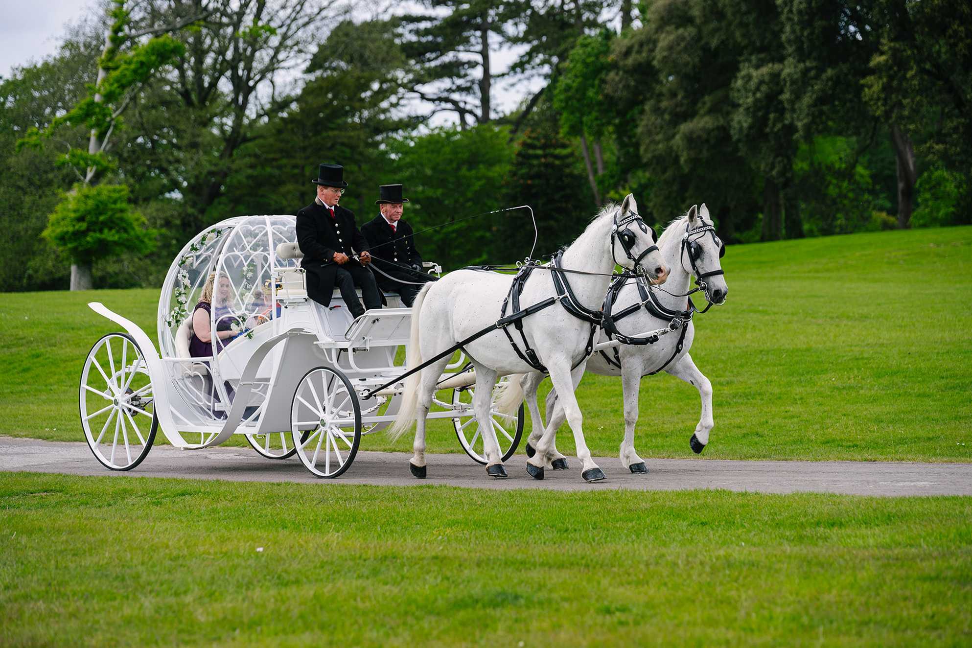 Penelope and her mum arrive in a carriage led by two white horses