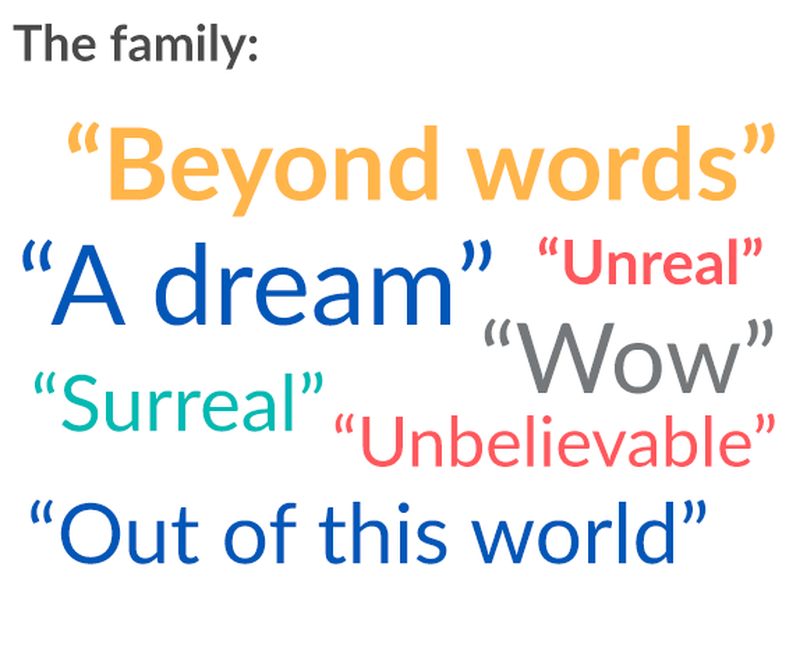 A word cloud of quotes from Christopher's family during the wish.