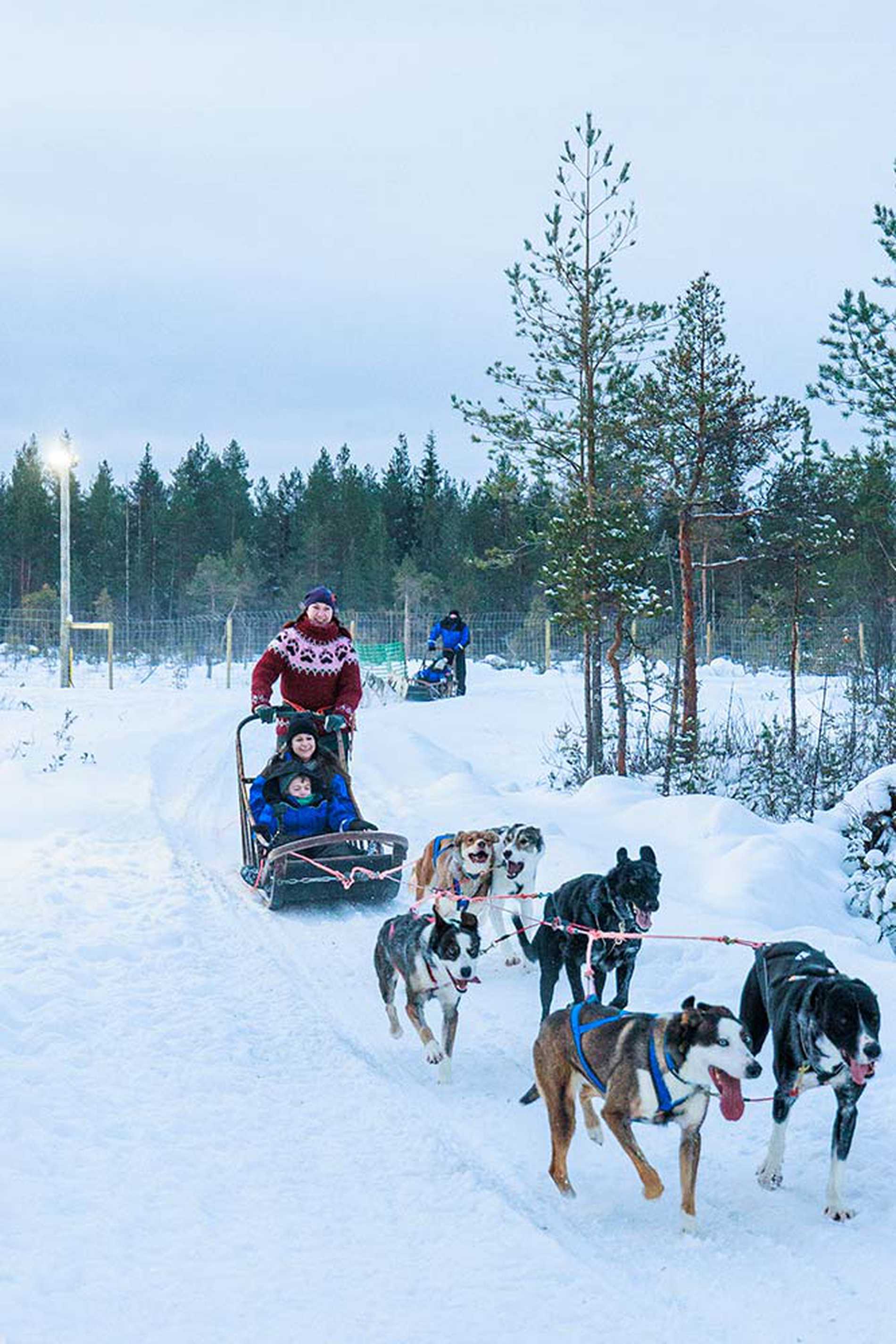 Mum and one of the children on a husky dog sled ride.