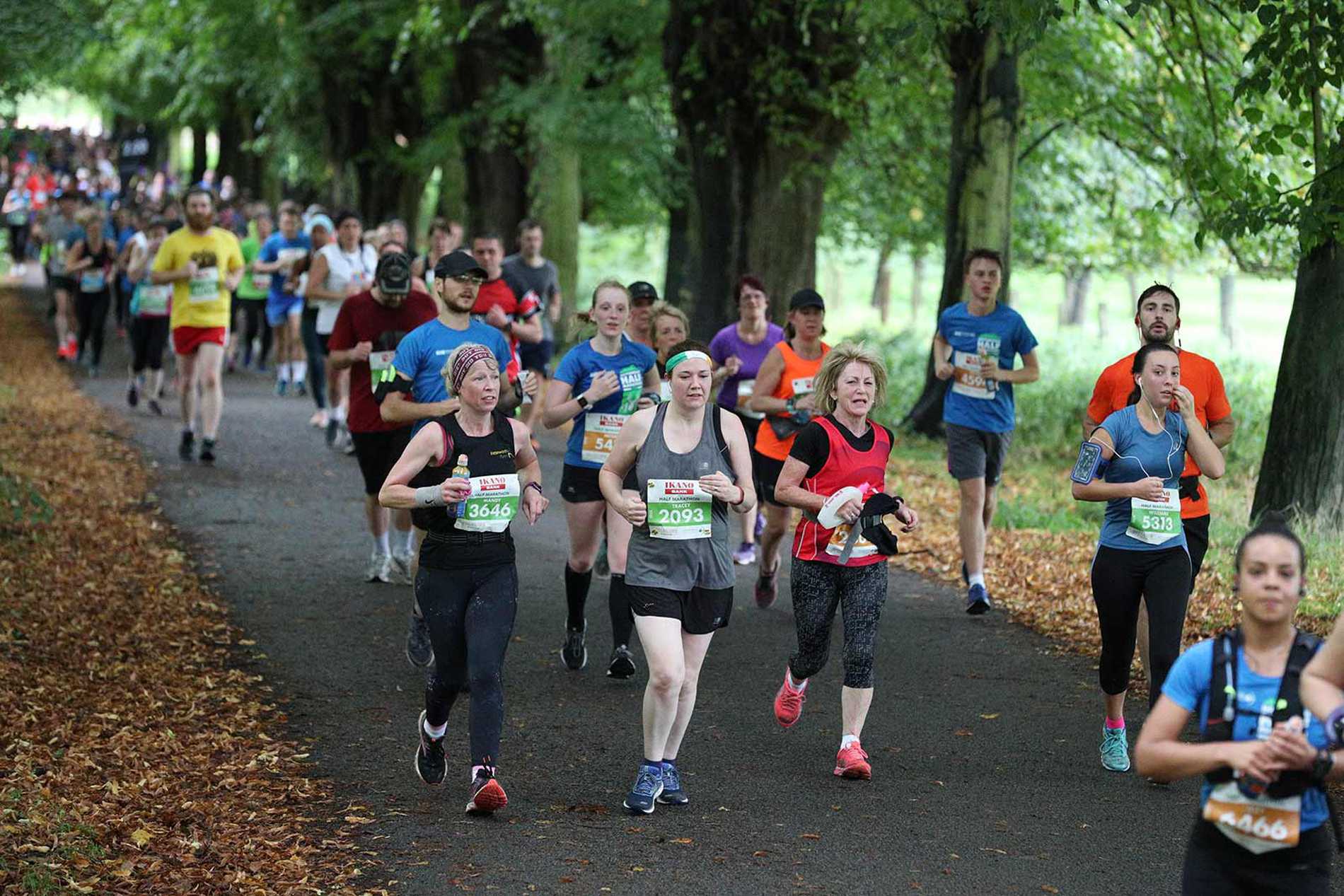 robin-hood-runners-image-m.jpg