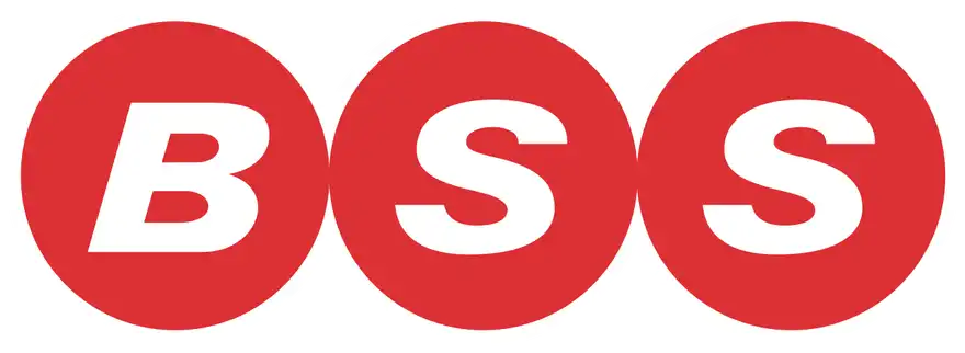 BSS Group logo