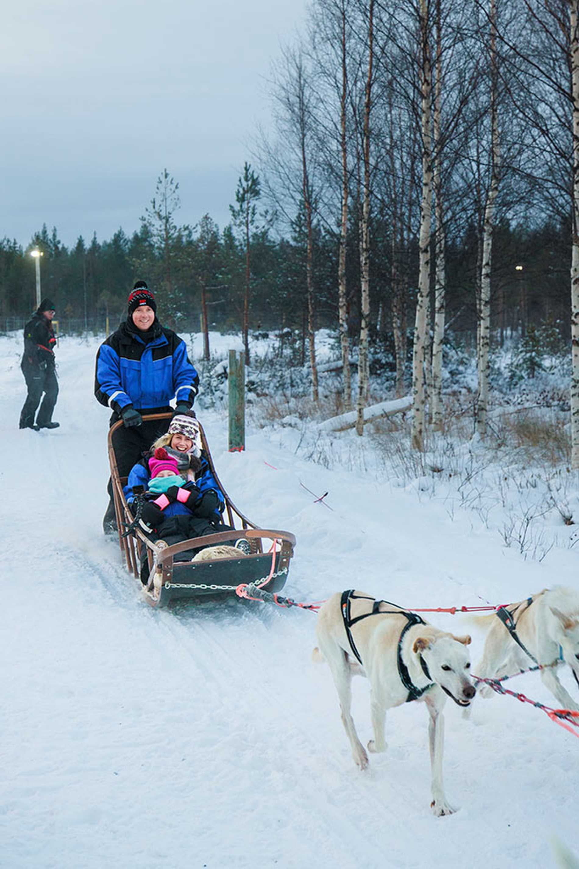 Alice and her mum enjoying a dog sled ride as dad pilots the sled.