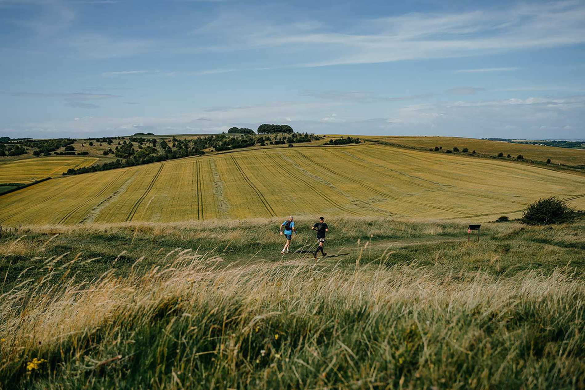 Two Race to the Stone participants looking tiny against the immense backdrop of fields and greenery.