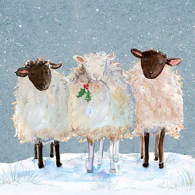 Cards for Good Causes Christmas card design featuring an illustration of three sheep in a snowy scene.
