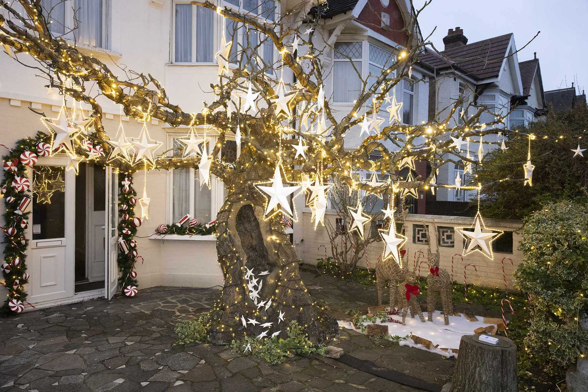 The brightly lit wish tree, outside Ellie's house - Image © Phil Harris, Daily Mirror.