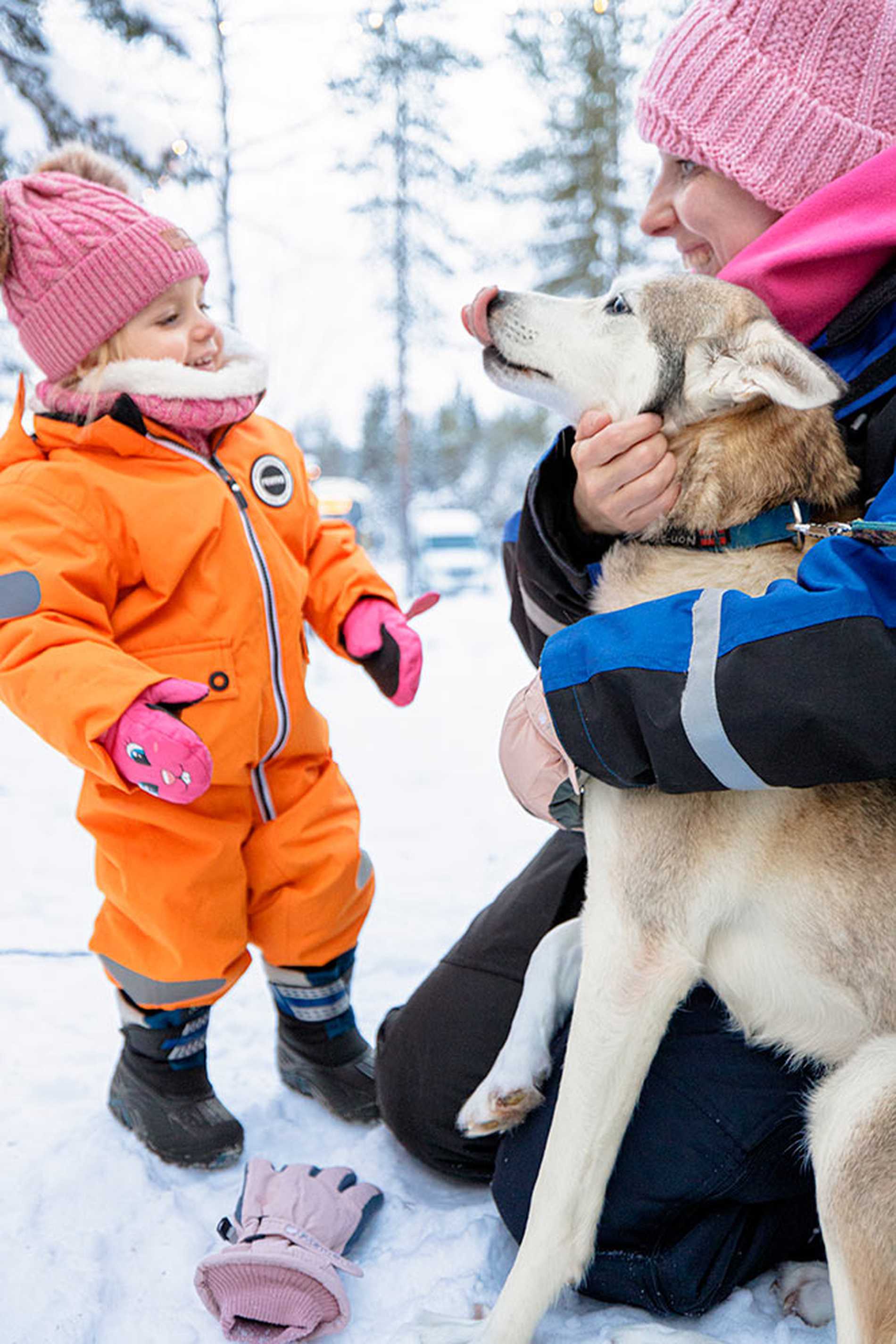 Mum and Jessie with one of the huskies.