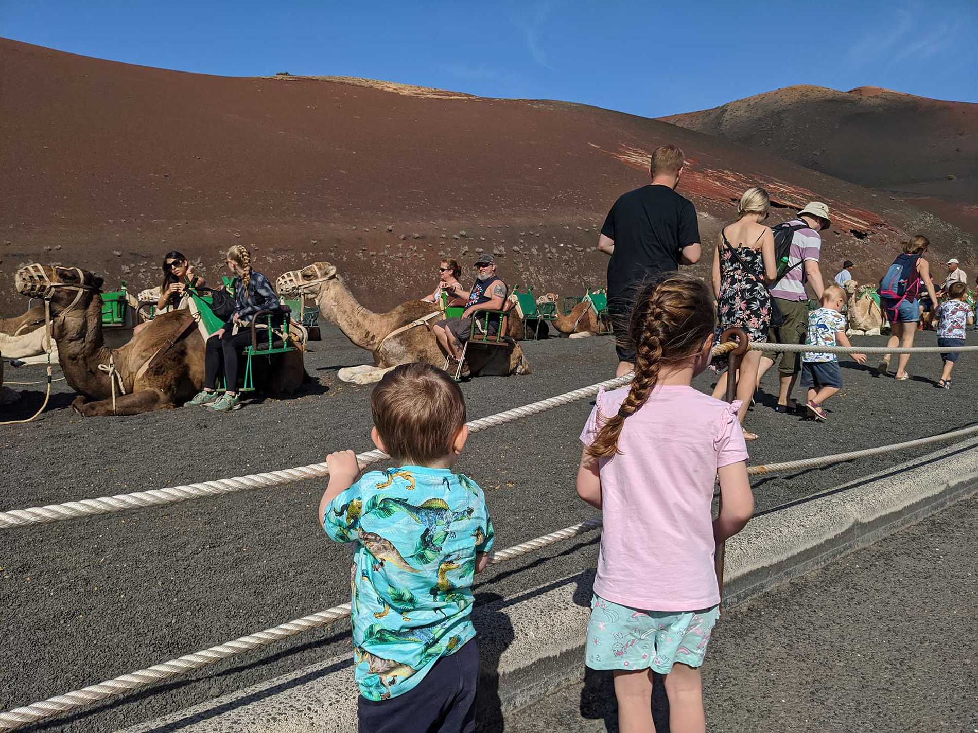 Hope and her brother looking at a row of camels that are sitting waiting to take holidaymakers on rides.