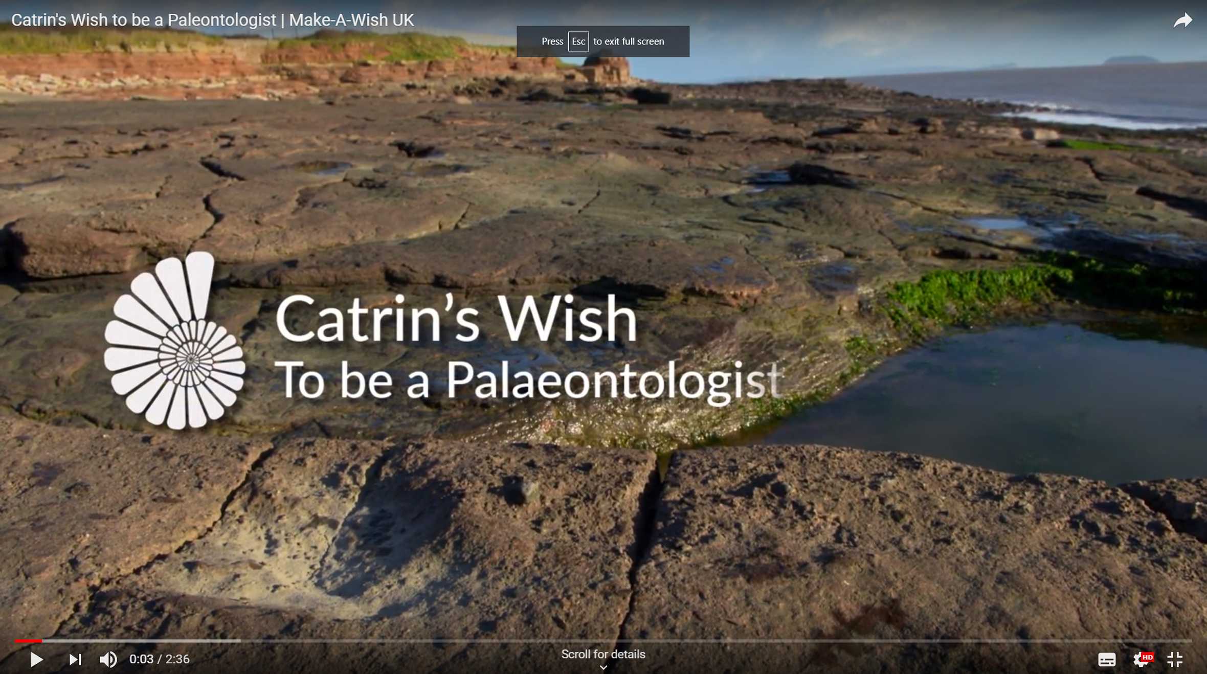 Catrin's wish video