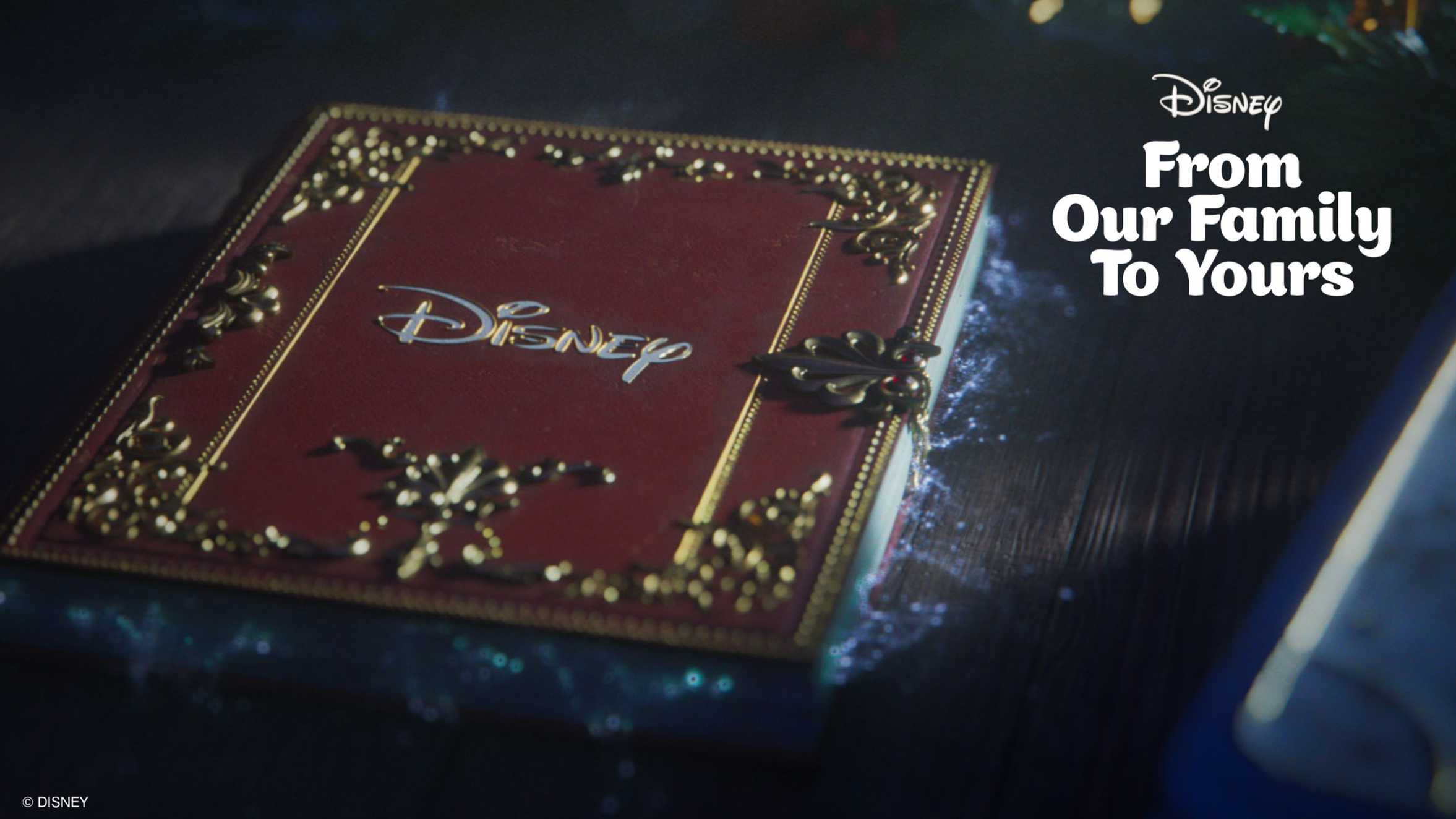 The Disney journal from the Christmas add with the words 'From our family to yours'.